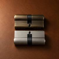 Cylindre de serrure de porte à double profil européen en laiton massif haute sécurité avec clés informatisées 60mm 70mm 80mm