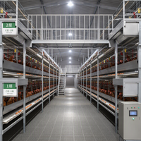 Bâtiment avicole préfabriqué en acier à grande portée, économique et automatique, pour l'élevage de poulets de chair et de poules pondeuses