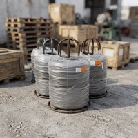 Alambre Plano de Alta Calidad Q195, Bajo en Carbono, Estirado en Frío, Superficie Negra Dura, para Atado en Construcción