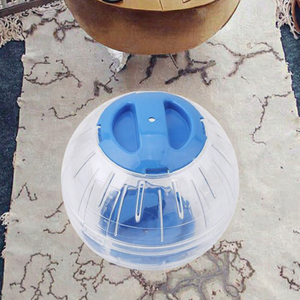 Mainan Jogging transparan bola lari plastik 5cm tahan lama Aksesori hewan peliharaan kecil ramah lingkungan untuk rumah hewan peliharaan hamster Chinchillas - Product Image 3