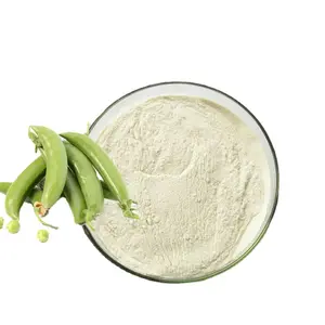 High Quality Protein Extract Pea Protein Powder 80% Stock Available With Wholesale Price