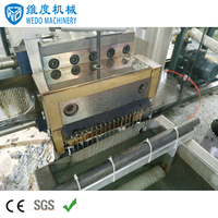 Wedo Extrudeuse de recyclage de granulés de flocons de PET, machine de recyclage de granulation de déchets PET