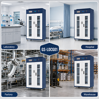 Kabinet Penyimpanan Pengisian Baterai Lithium dengan Pembuangan Udara Otomatis, Pintu Ganda Baja, 30 Stopkontak, 6 USB untuk Laboratorium, Pabrik, Gudang B2B