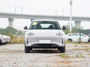 Modello 2026 310km Edizione Giovani <span class=keywords><strong>Auto</strong></span> Elettrica Compatta Urbana a Nuova Energia Conveniente - Product Image 1
