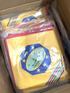 Bán Buôn Giá Rẻ Biểu Tượng Tùy Chỉnh Cô Gái Cậu Bé Scout Khăn Quàng Vải Thêu Pathfinder Khăn Quàng Cổ Và Các Bản Vá Lỗi - Product Image 2