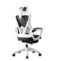 Chaise de bureau ergonomique en maille pour la maison et le bureau, confort durable, réglable en hauteur, accoudoirs inclinables