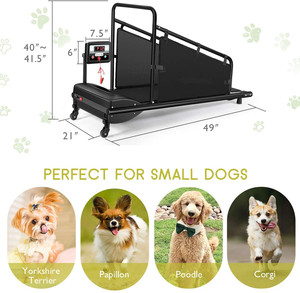 Caminadora Portátil para Perros JK360-2, Máquina de Correr Eléctrica Compacta para Ejercicio Canino en Interiores con Diseño de Motor Silencioso - Product Image 2