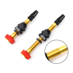 MUQZI personnalisé 40mm 60mm vélo Presta tige <span class=keywords><strong>VTT</strong></span> français buse d'air sous vide <span class=keywords><strong>Valve</strong></span> de <span class=keywords><strong>pneu</strong></span> sans chambre - Product Image 4