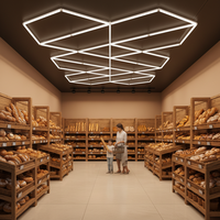 Showcase-verlichting voor diamanten, 6500K, 120lm/W, PC dimbaar, op maat gemaakte geometrische kabelophanging voor fruitwinkels