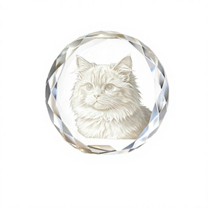 Кулон-урна для праха в форме сердца из хрусталя для кошек и собак - Product Image 4