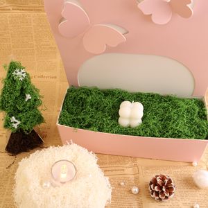 Plantas Decorativas Artificiales, Musgo y Césped para Arreglos de Micropaisajes, Bonsáis, Plantas en Maceta, Decoración Verde - Product Image 3
