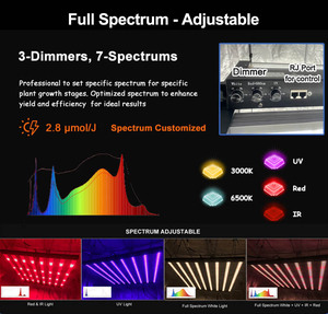ไฟปลูกต้นไม้ LED 1000 วัตต์ 3 2 Umol Lm301h Evo Lm281B สามช่องสัญญาณ สเปกตรัมเต็ม ปรับความสว่างได้ สำหรับการปลูกพืชในระยะเจริญเติบโตและการออกดอก ใช้ในเชิงพาณิชย์ - Product Image 2