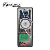 [Stock CN] Amplificateur audio professionnel Accuracy Pro APC 450W, carte de circuit amplificateur 2 canaux classe H DSP pour enceinte active