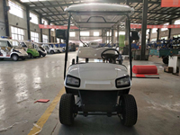 Batteries pour voiturette de golf électrique, voiturettes de golf climatisées, voiturettes de golf 3 ou 4 places, véhicules, tricycles, buggy de golf