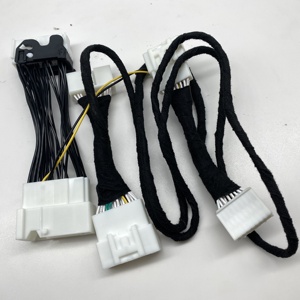 TESLA MODEL 3 2021 Phụ Kiện Sửa Đổi Nội Thất Kích Hoạt Âm Thanh Nâng Cấp Sửa Đổi Cáp Loa Xe Hơi - Product Image 4