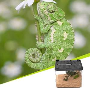 Piccolo serbatoio di allevamento per rettili anfibi barbuto <span class=keywords><strong>drago</strong></span> serpente <span class=keywords><strong>custode</strong></span> recinto scorrevole copertura Habitat per rettili anfibi - Product Image 3