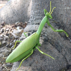 JiaHuiFeng-juguetes de broma de Mantis por infrarrojos, juguetes de verano, Q1P, envío directo - Product Image 6