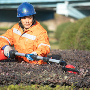Outil de jardin à lame tranchante, longue portée, facile à utiliser, <span class=keywords><strong>taille</strong></span>-<span class=keywords><strong>haie</strong></span>, <span class=keywords><strong>taille</strong></span>-<span class=keywords><strong>haie</strong></span> électrique à haute efficacité - Product Image 6