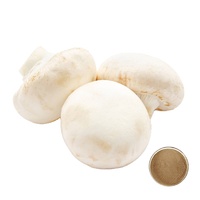 4% 30% 40% 50% 60% Polysachariden Fruitlichaam Witte Knopzwam Extract voor Supplementen, Agaricus Bisporus Extract in Bulk