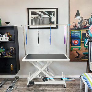 Table de <span class=keywords><strong>toilettage</strong></span> électrique professionnelle pour chiens-Roues de nivellement/station de <span class=keywords><strong>toilettage</strong></span> pour animaux de compagnie à hauteur réglable - Product Image 2