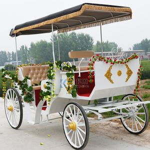 Fantastique carrosse électrique de style européen Victoria, carrosse de conte de fées en acier tiré par des chevaux pour le camping et les visites touristiques - Product Image 3