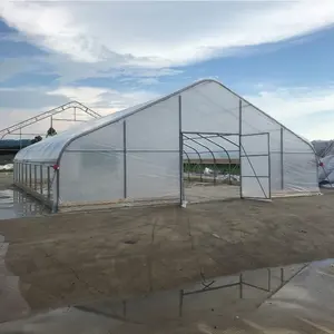 厂家直销价格TMG 25ftx100ft优质储雨棚农业EVA种植帐篷温室