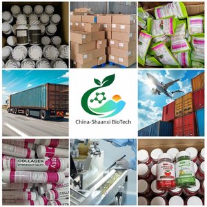 Capsule di Legno di Muira Puama da 1000mg, Estratto di Muira Puama, Integratore Erboristico per Energia e Libido Maschile, Prodotto da Capital Potency (azienda statale) - Product Image 6