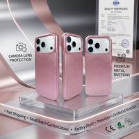Étui de téléphone en PU doublé de flocage magnétique, coque de protection intégrale antichoc argentée métallique pour iPhone 15 à 17 Pro Max