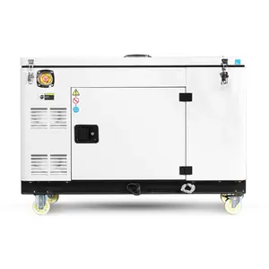 Iso Ce Ats Werken 8-10hours Eenfase 50Hz 1500Rpm 8KW 10KW Stille Draagbare Cng Generatoren Met Lifan Motor voor Thuis Picknick