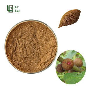 Extracto de Radix <span class=keywords><strong>Fici</strong></span> Simplicissimae en Polvo, Concentrado Soluble Orgánico Natural de Alta Calidad, Wuzhimaotao, Grado Alimenticio - Product Image 1