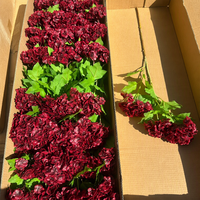 Bunga Hydrangea Buatan 3 Kepala Berkualitas Tinggi Warna Merah Tua Burgundy Grosir Online Dekorasi Pernikahan Musim Gugur