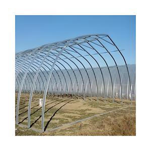 Estufa plástica do túnel do único arco gótico para o filme plástico dos vegetais Caminhada pequena antienvelhecimento da casa verde dentro