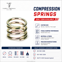 Ressort de compression en spirale en acier inoxydable TianFang, résistant à la fatigue, avec des paramètres personnalisés, conforme RoHS/REACH, pour l'automobile