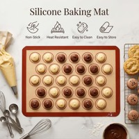 Tapis de cuisson en silicone platine de qualité alimentaire, sur mesure en usine, 300*400*0.7mm, avec marquage de cercles pour biscuits, résistant à la chaleur, pour étaler la pâte
