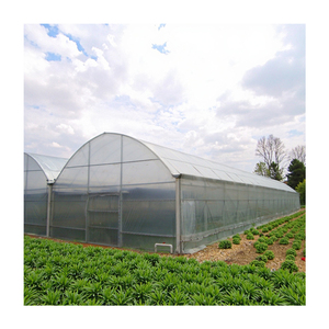 <span class=keywords><strong>Serre</strong></span> tunnel à simple portée bon marché de 8*30m en vente en Chine, utilisée pour l'agriculture, les tomates, les fraises - Product Image 4