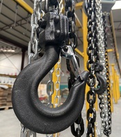Palans à chaîne miniatures de 10, 20, 30 tonnes pour levage manuel, fabriqués en Chine, neufs, avec composants d'engrenage et de roulement, vente au détail