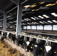 Bâtiment préfabriqué en structure d'acier, maison préfabriquée, hangar agricole, grange pour bétail, moutons, animaux d'élevage, écurie pour chevaux