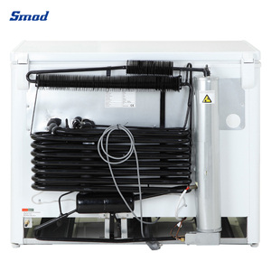 Congelador Horizontal de Gas de Absorción de Amoníaco R717 de 165 l, 2 Vías, Dsg-160b1 - Product Image 2