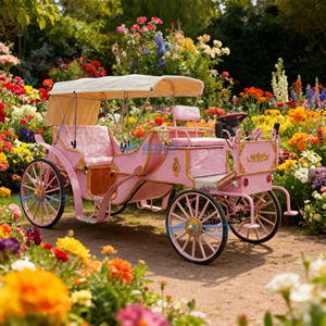 Carruaje Eléctrico Rosa para Bodas, Carruaje Turístico de Acero Estilo Amoroso, Nuevo Precio al por Mayor de Henan - Product Image 1