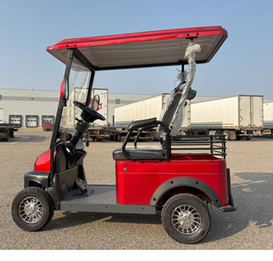 Voitures de <span class=keywords><strong>golf</strong></span> électriques miniatures attrayantes, buggy 2 places avec moteur sans balais, autonomie de 50-70 km, pour la location dans les parcs d'attractions - Product Image 6