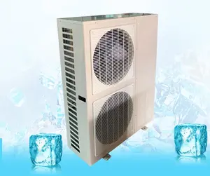 冷凝机组冰箱系统室内冷冻箱式冷凝机组