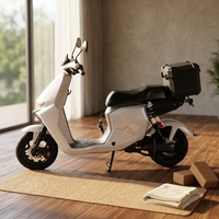 Trottinette Électrique Urbaine pour Adultes, 1000W 60V, avec Assistance au Pédalage, Sièges Spacieux, Vitesse Rapide, Nouvelle Génération, Prix Abordable, Fabriquée en Chine