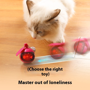 Akıllı kedi oyuncak top engel Dodging kapalı köpek top oyuncak kediler yavru köpekler için kuş Bark eğitim Pet oyuncaklar - Product Image 3