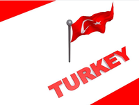 Spediteur Drops hipping Logistics Agent in Shenzhen China Spediteur Fracht auf dem Seeweg DDP Versand in die Türkei Istanbul