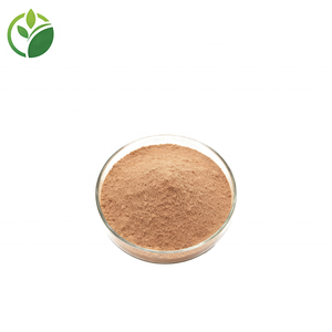 Supply Wholesale Bulk <strong>Flos</strong> <strong>Magnoliae</strong> Extract <strong>Powder</strong> High Quality Magnolia Flower Extract <strong>Powder</strong> <strong>Flos</strong> <strong>Magnoliae</strong> <strong>Powder</strong> - Product Image 3