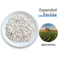 Perlite horticole premium à faible teneur en poussière, particules expansées, empêche la compactation du sol pour la croissance des racines des plantes en pot et la promotion de la croissance des racines.