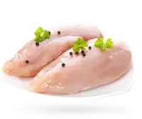 Halal UAE KSA Chicken Meat, Arab Afghanistan Chicken Breast