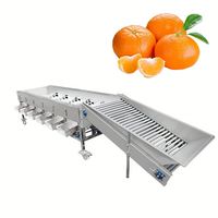 Sorteermachine Voor Tomatenvruchten Sorteermachine Voor Kersentomaat En Selecteert De Kalibteermachine Van De Machine Voor Ronde Vruchten