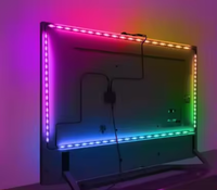 Lampu Strip LED Fleksibel Tembaga SMD5050 DC5V RGB Epistar Panjang 2M/3M/5M Tahan Air IP65 Pencahayaan Lanskap Kontrol Aplikasi/Remote