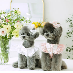 Ropa para perros, vestido de estilo femenino para perros pequeños y niñas, ropa para perros Pug <span class=keywords><strong>Chihuahua</strong></span>, vestido rosa para perros, ropa para gatos - Product Image 5